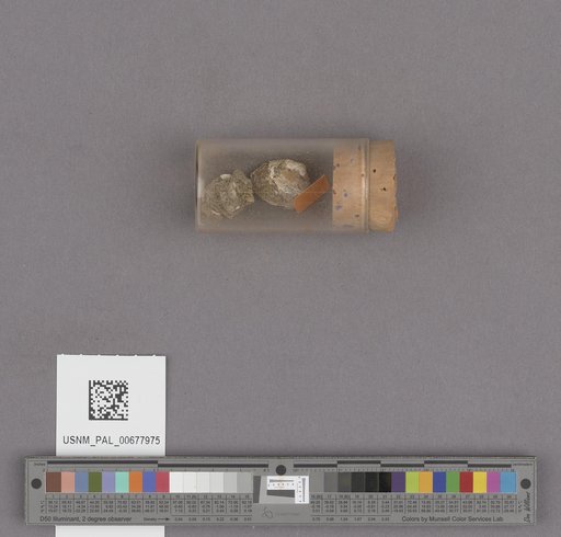 NSF ADBC EPICC TCN