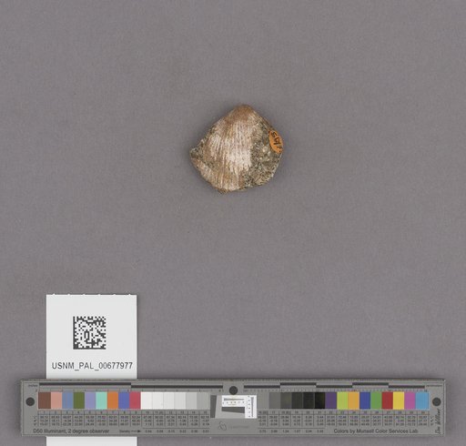NSF ADBC EPICC TCN