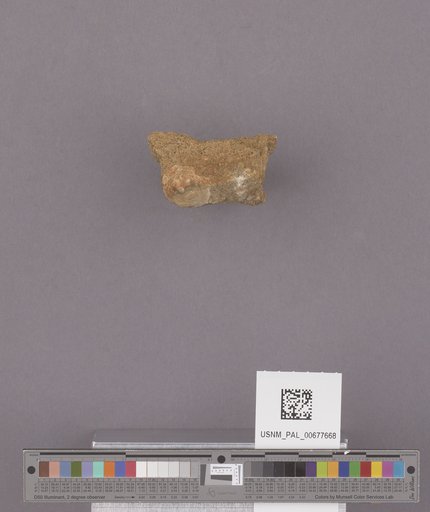NSF ADBC EPICC TCN