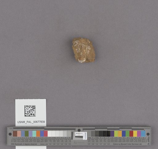 NSF ADBC EPICC TCN