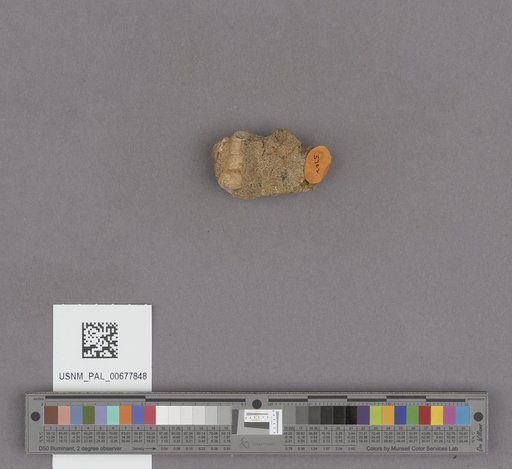 NSF ADBC EPICC TCN
