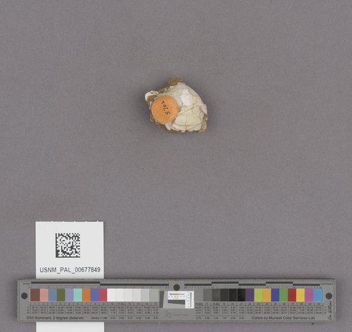 NSF ADBC EPICC TCN