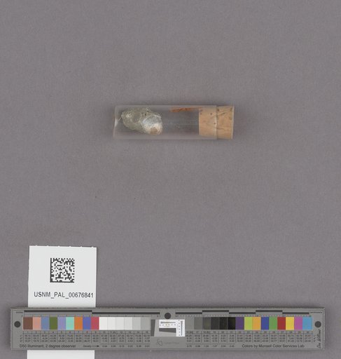 NSF ADBC EPICC TCN