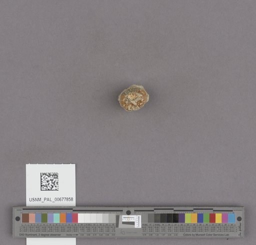 NSF ADBC EPICC TCN