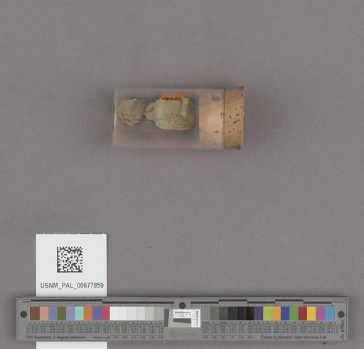 NSF ADBC EPICC TCN