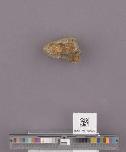 NSF ADBC EPICC TCN