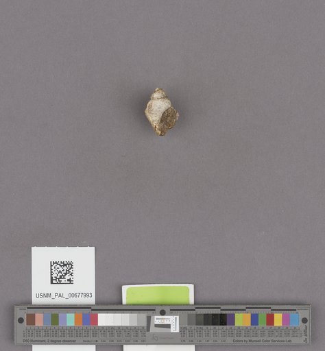 NSF ADBC EPICC TCN