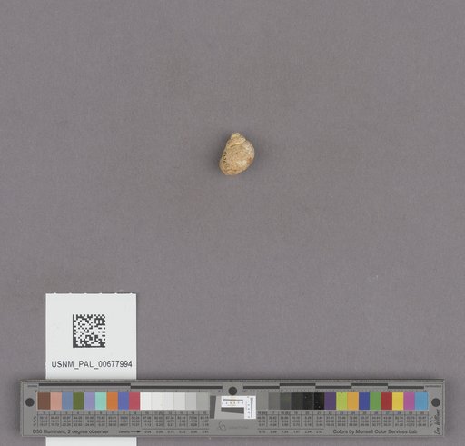 NSF ADBC EPICC TCN