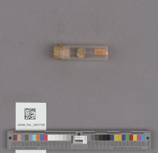 NSF ADBC EPICC TCN