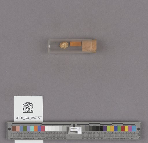 NSF ADBC EPICC TCN