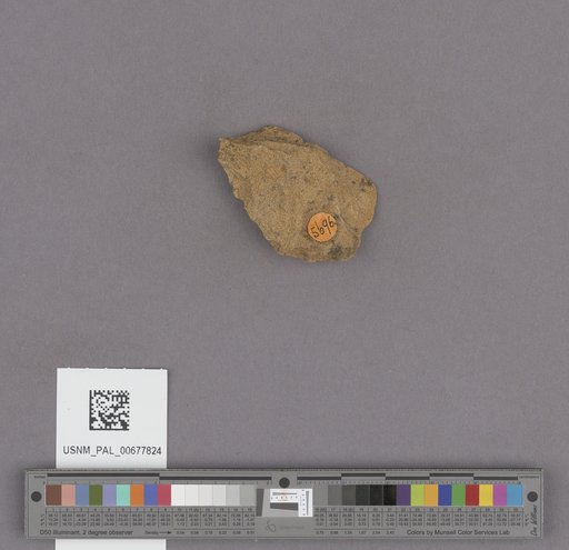NSF ADBC EPICC TCN