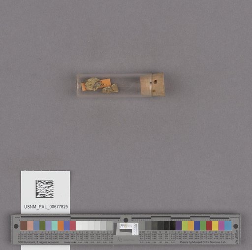 NSF ADBC EPICC TCN