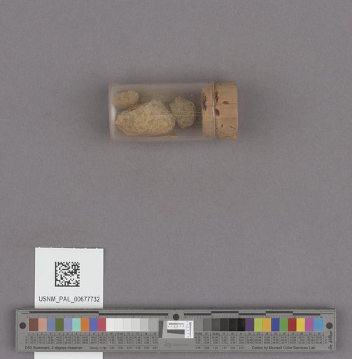 NSF ADBC EPICC TCN