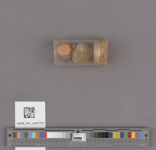 NSF ADBC EPICC TCN