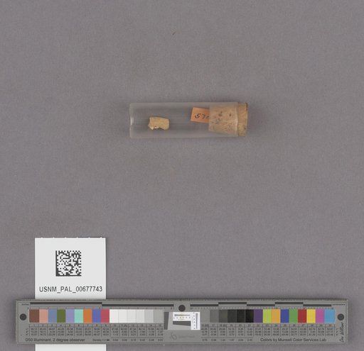 NSF ADBC EPICC TCN