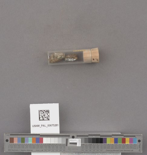 NSF ADBC EPICC TCN