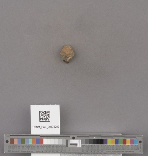 NSF ADBC EPICC TCN