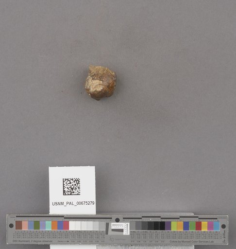 NSF ADBC EPICC TCN