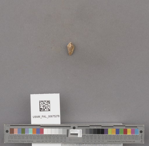 NSF ADBC EPICC TCN