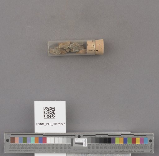 NSF ADBC EPICC TCN