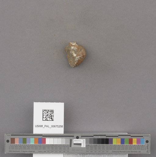 NSF ADBC EPICC TCN
