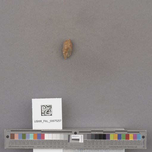 NSF ADBC EPICC TCN