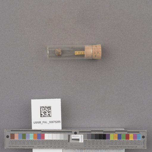 NSF ADBC EPICC TCN