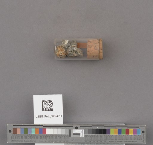 NSF ADBC EPICC TCN