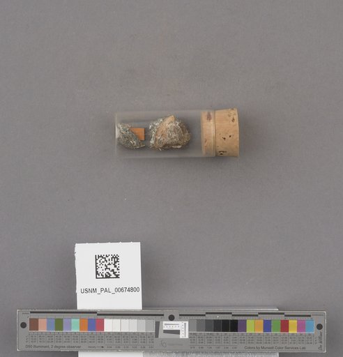 NSF ADBC EPICC TCN