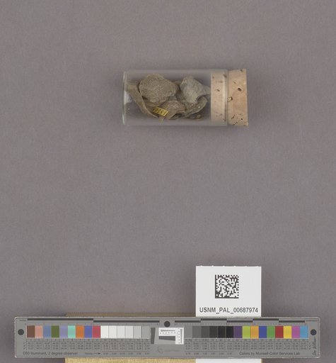 NSF ADBC EPICC TCN