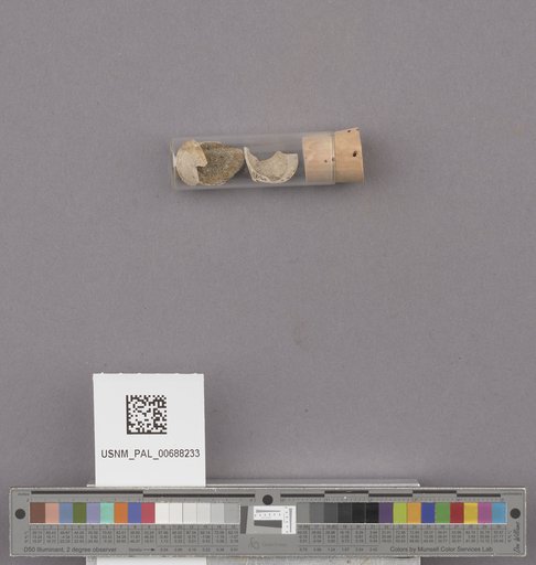 NSF ADBC EPICC TCN