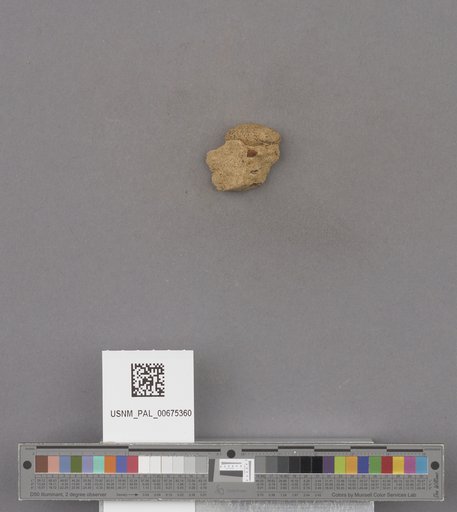 NSF ADBC EPICC TCN