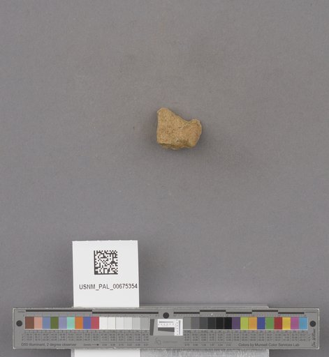 NSF ADBC EPICC TCN