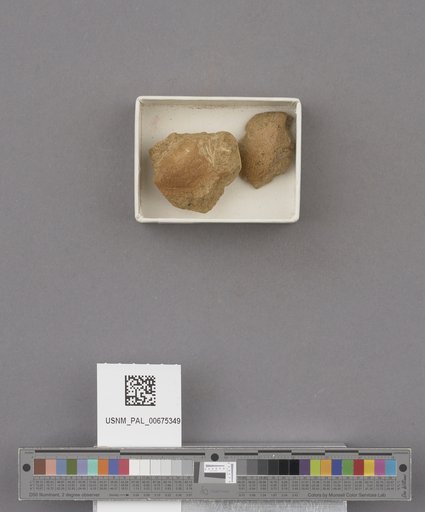NSF ADBC EPICC TCN