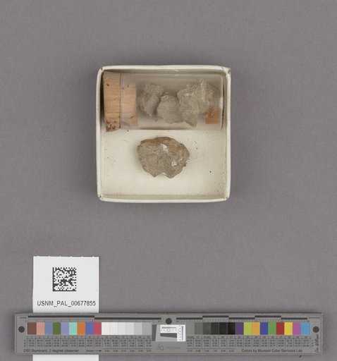 NSF ADBC EPICC TCN