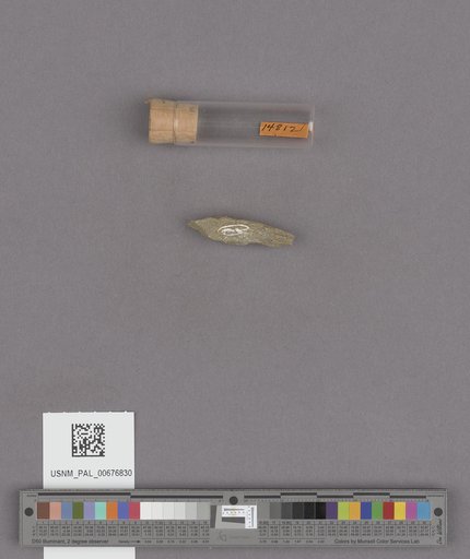 NSF ADBC EPICC TCN