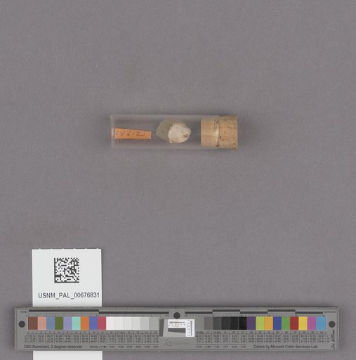 NSF ADBC EPICC TCN