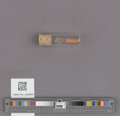 NSF ADBC EPICC TCN