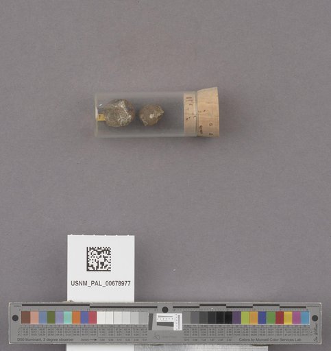 NSF ADBC EPICC TCN