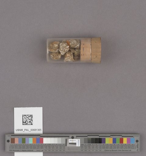 NSF ADBC EPICC TCN