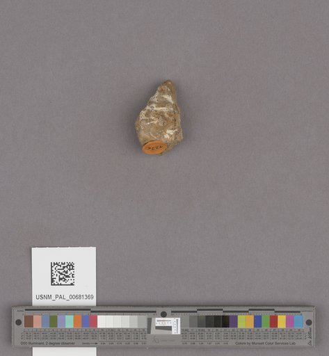 NSF ADBC EPICC TCN