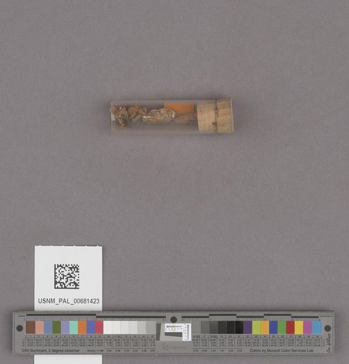 NSF ADBC EPICC TCN