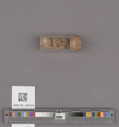 NSF ADBC EPICC TCN