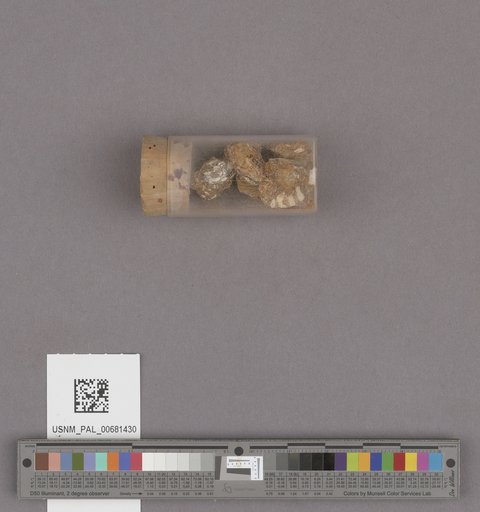 NSF ADBC EPICC TCN