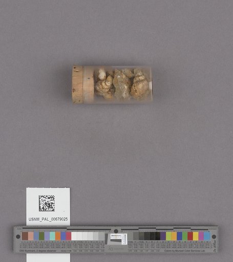 NSF ADBC EPICC TCN
