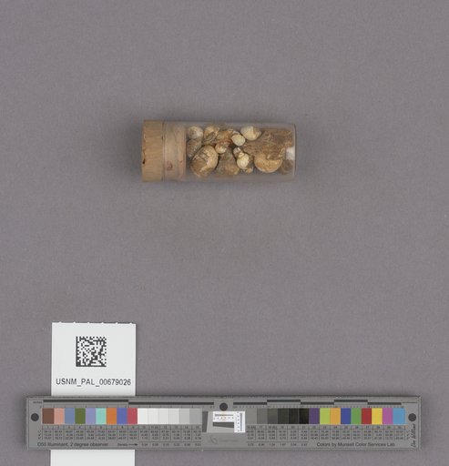 NSF ADBC EPICC TCN