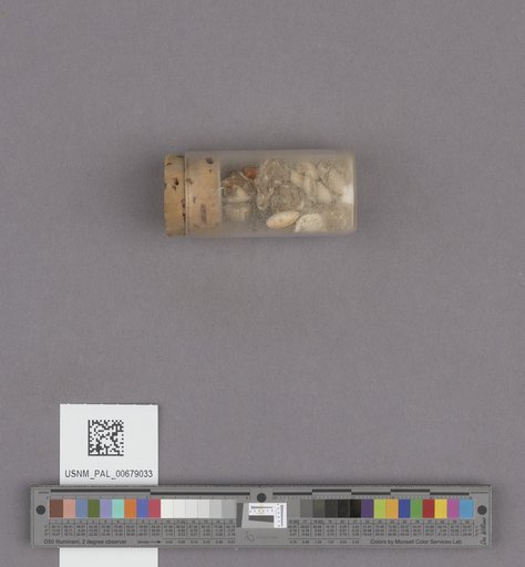NSF ADBC EPICC TCN