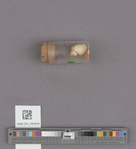 NSF ADBC EPICC TCN