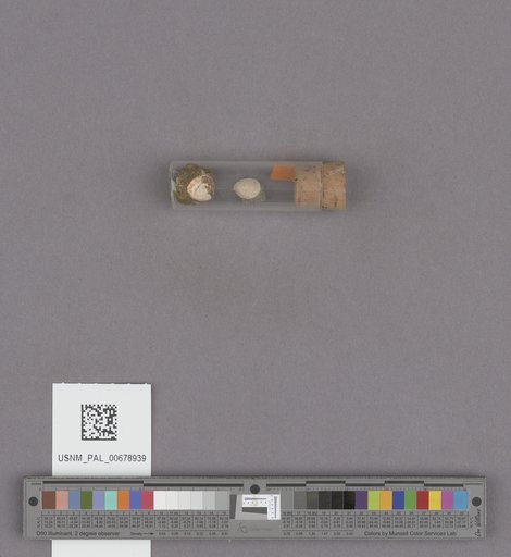 NSF ADBC EPICC TCN