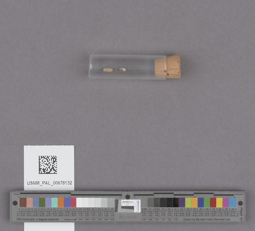 NSF ADBC EPICC TCN